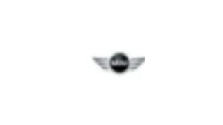 Mini logo